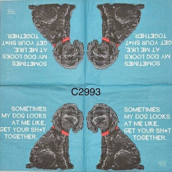 Dogs (C2993) - Black Dog "Sometimes My Dog Looks At Me Like, Get Your SH*T Together"
