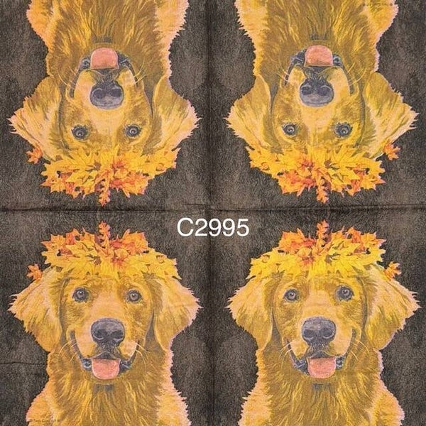 Dogs (C2995) - Golden Retriever with Fall Flowers on Head