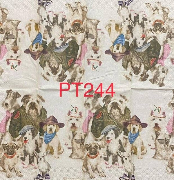 Dogs (PT244) - Dog Gang