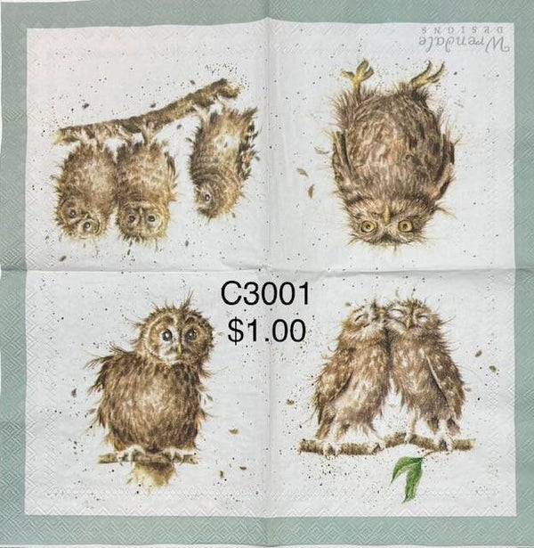 Birds (C3001) - Crazy Owls (Wrendale)