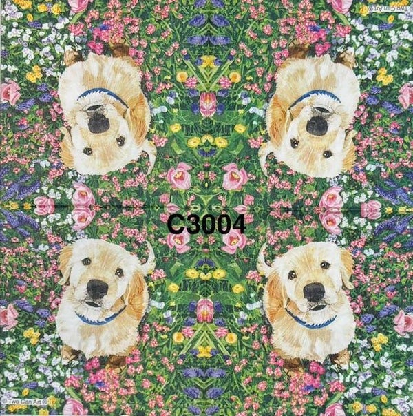 Dogs (C3004) - Golden Retriever Looking Up at Camera Surrounded by Flowers