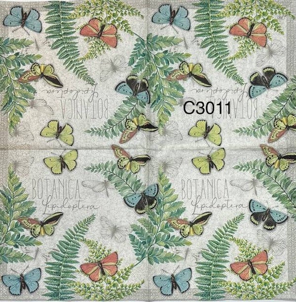 Butterflies (C3011) - Butterflies and Ferns