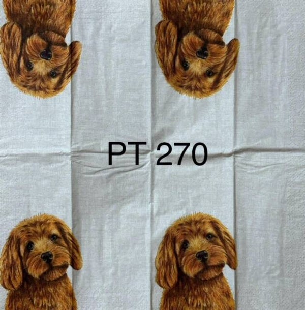Dogs (PT270) - Farm Dog