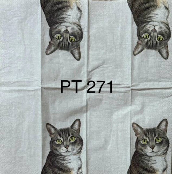 Cats (PT271) - Farm Cat