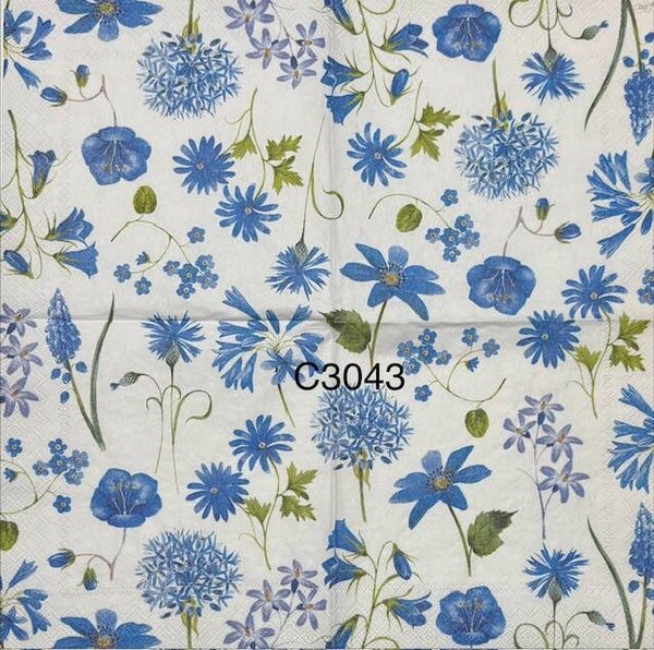 Flowers (C3043) - Blue Flowers