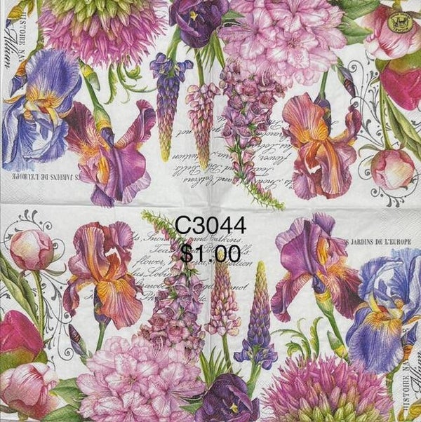 Flowers (C3044) - MDW Colorful Pinks and Purples with a Script in the Background
