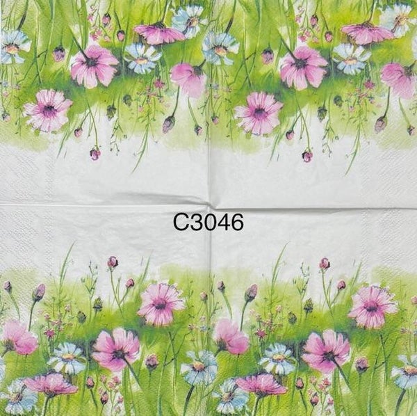 Flowers (C3046) - Pink Flowers in the Wild