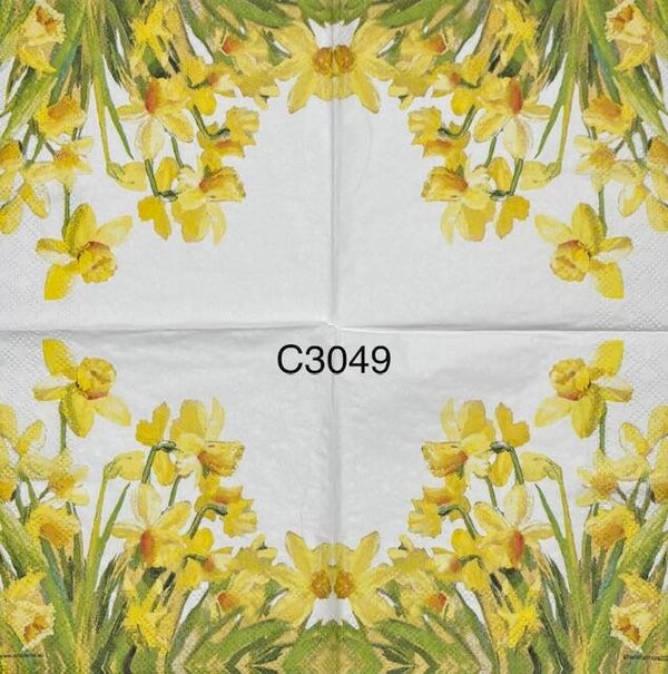Flowers (C3049) - Yellow Daffodils