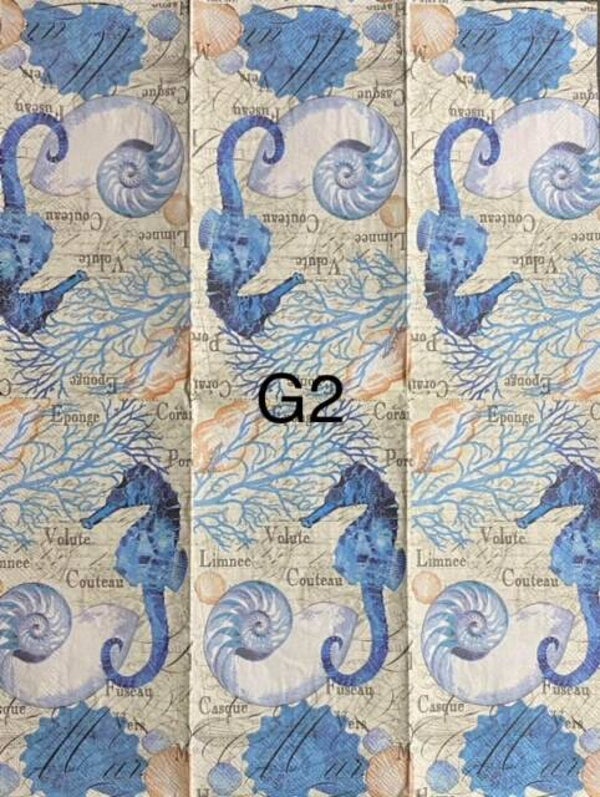 Beach (G2) - Shells and Seahorse