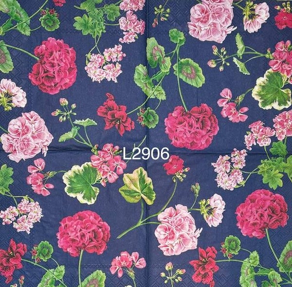 Flowers (L2906) - Geraniums in Different Shades of Pinks