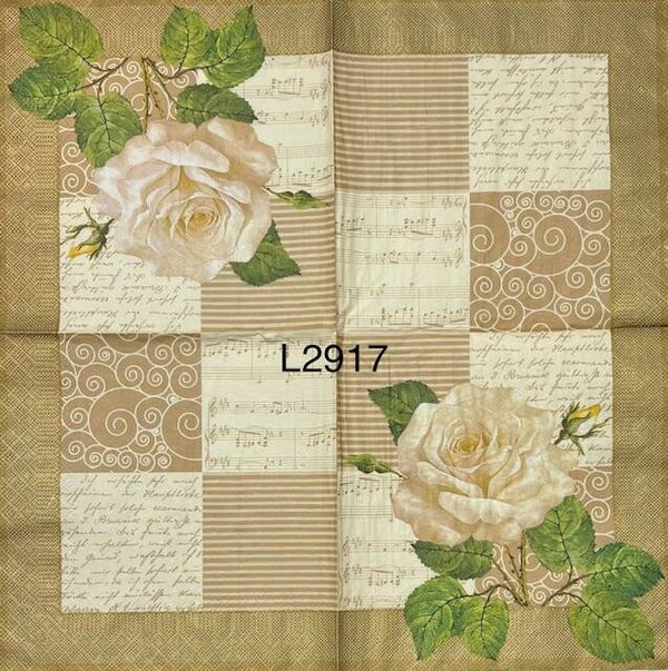 Flowers (L2917) - White Rose with Boxes of Patterns and Script Behind It