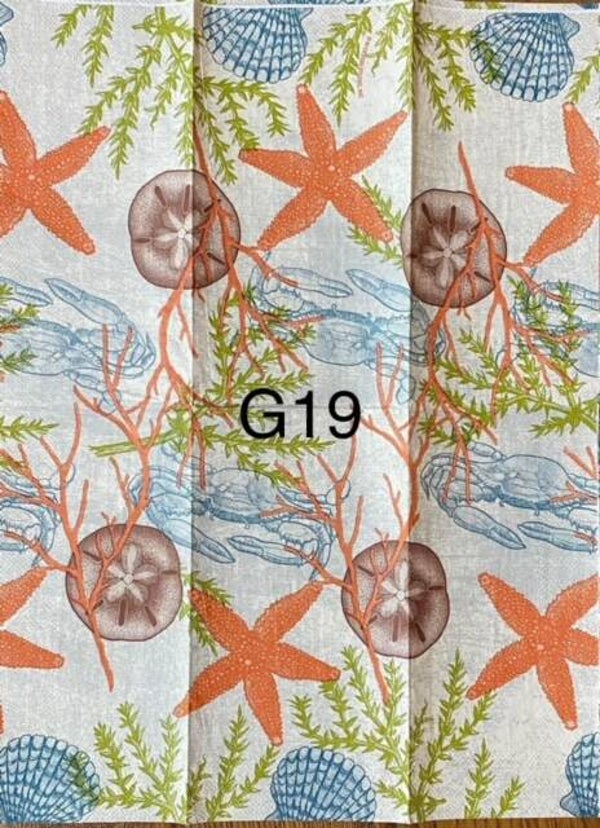 Beach (G19) - Sea Floor