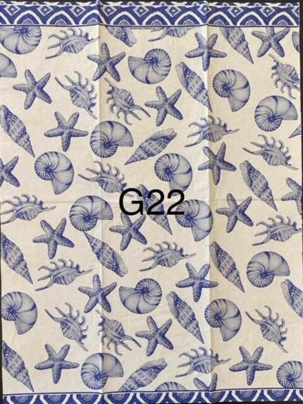 Beach (G22) - Shells