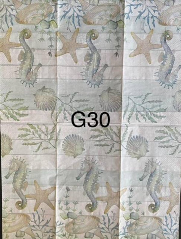 Beach (G30) - Ocean Floor