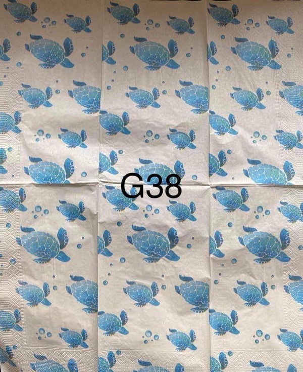 Beach (G38) - Turtles