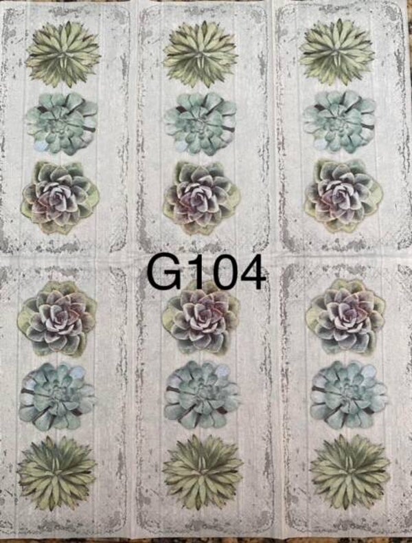 Plant (G104) - Cactus