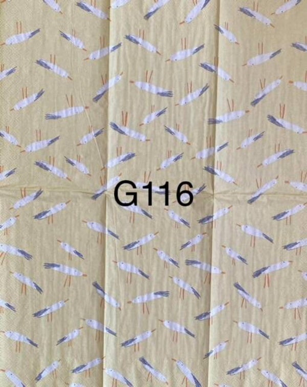 Beach (G116) - Seaguls