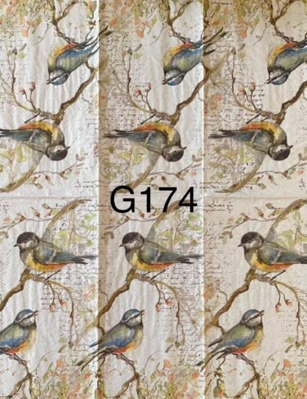Birds (G174) - Titmouse