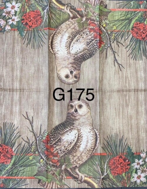 Birds (G175) - Owl
