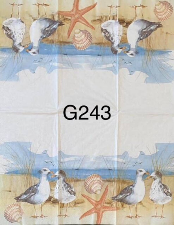Beach (G243) - Seaguls at the Beach