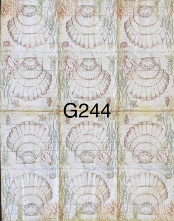 Beach (G244) - Shells