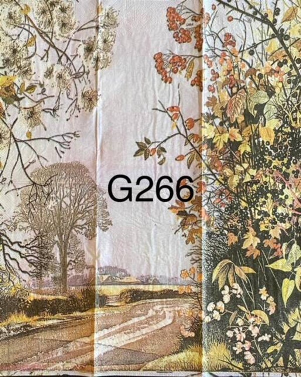 Scene (G266) - Country