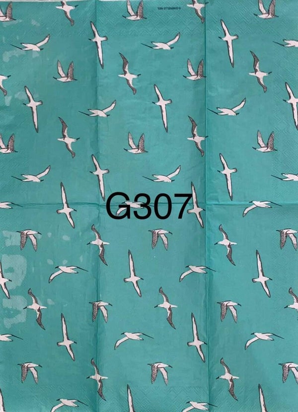 Beach (G307) - Seaguls
