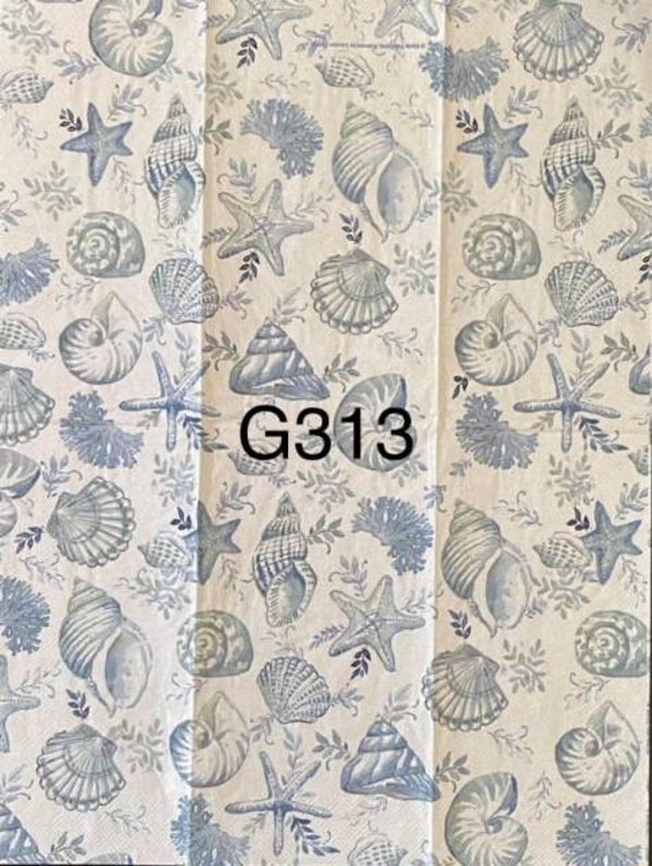Beach (G313) - Shells