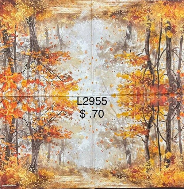 Scene (L2955) - Beautiful Fall View in the Forest