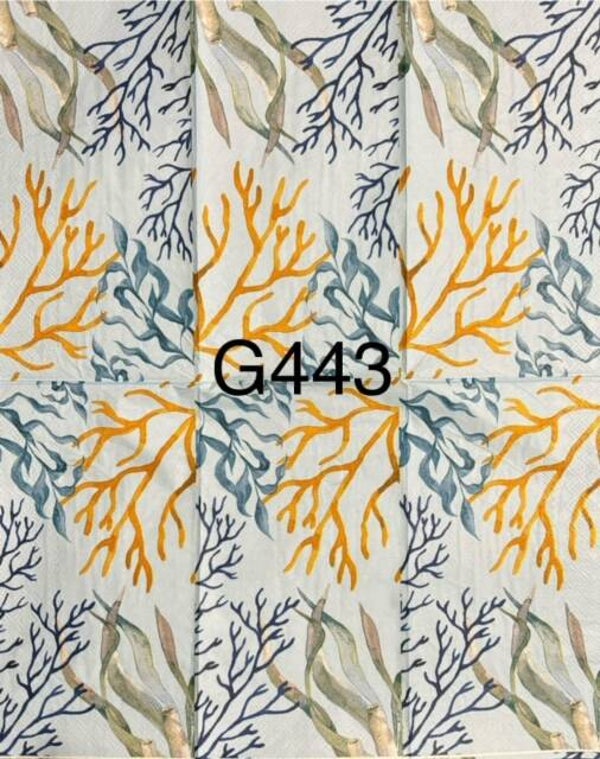 Beach (G443) - Coral