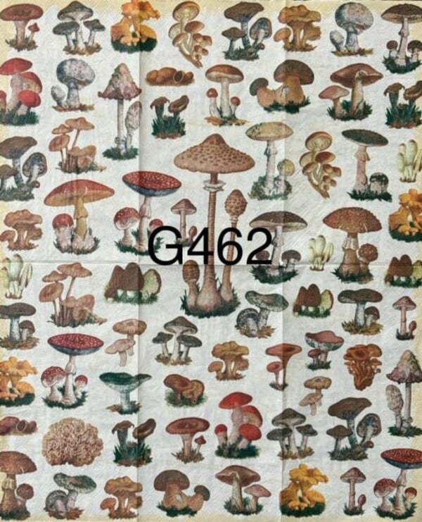 Vegetables (G462) - Mushrooms