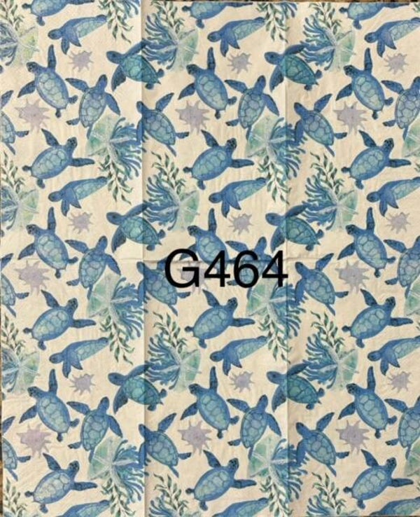 Beach (G464) - Turtles