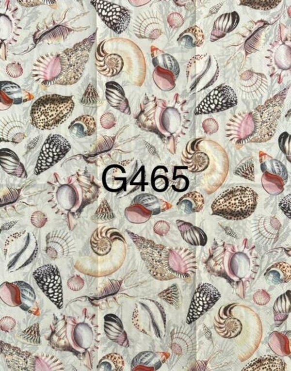 Beach (G465) - Shells
