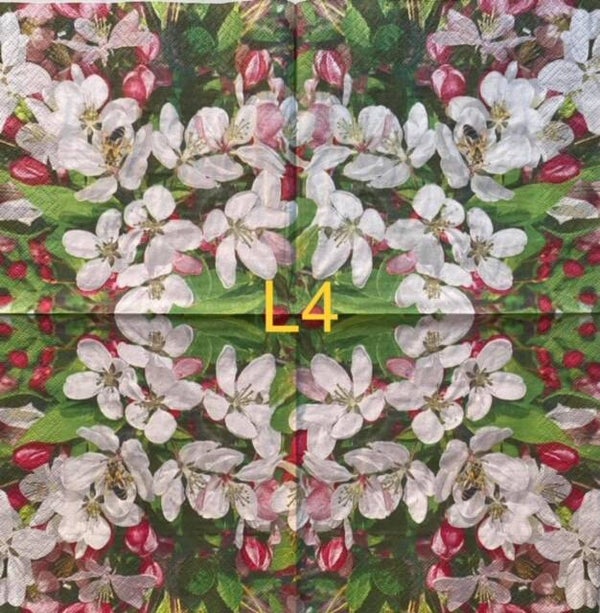 Flowers (L4) - White Flowers