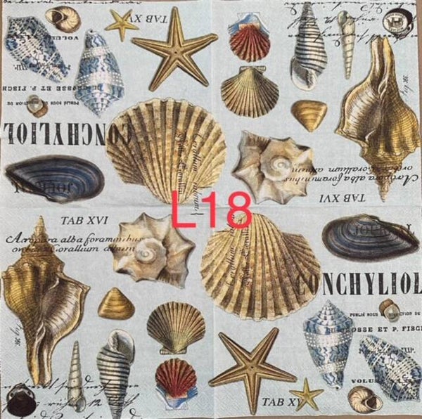 Beach (L18) - MDW Shells