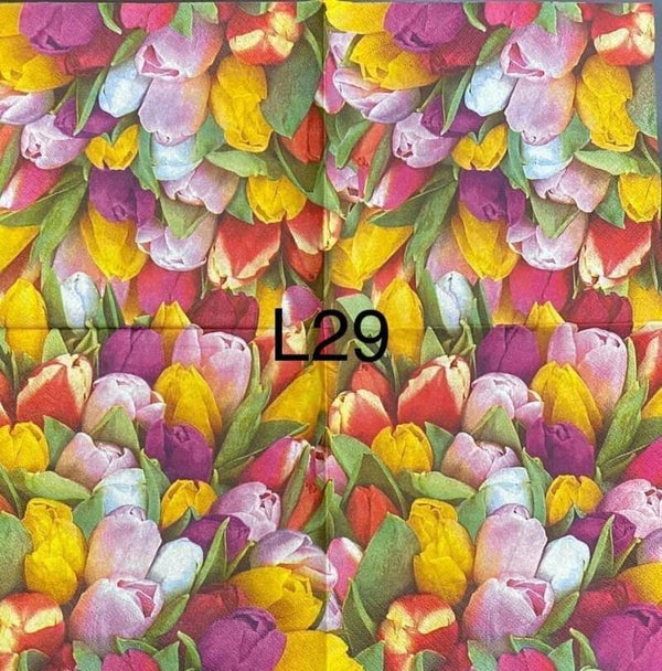 Flowers (L29) - Tulips