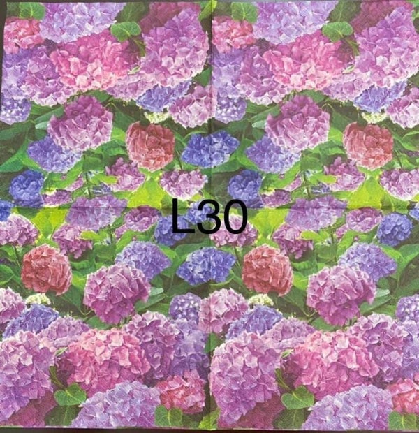 Flowers (L30) - Hydrangea
