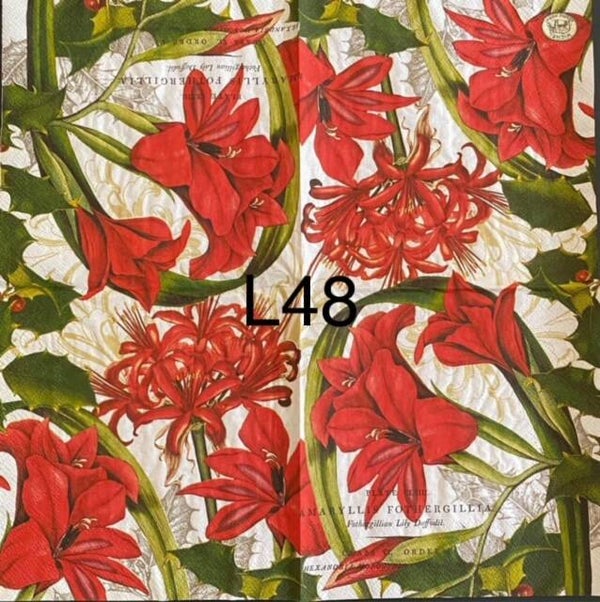 Christmas (L48) - MDW Amaryllis Red