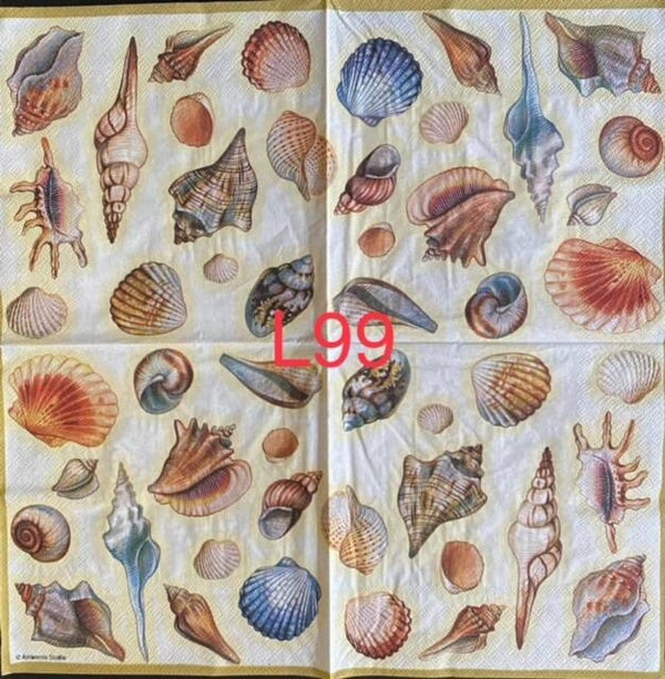 Beach (L99) - Shells