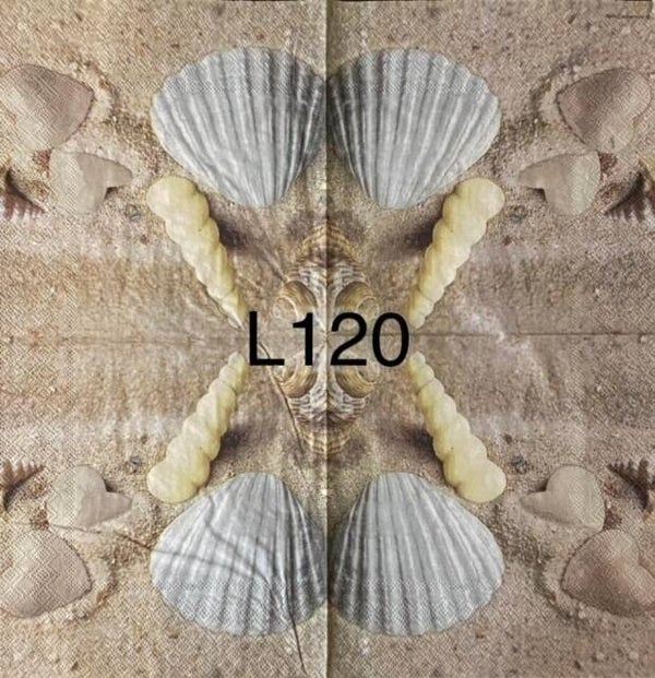 Beach (L120) - Shells