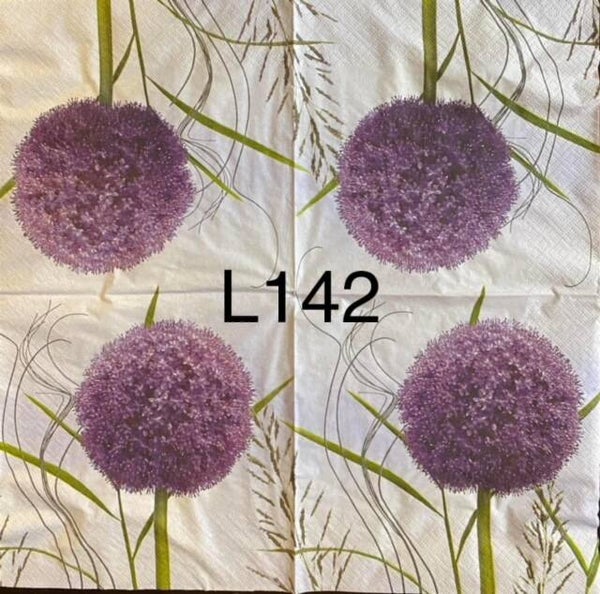 Bargain - Flowers (L142) - Allium Ball