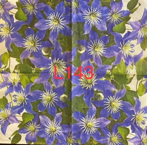 Bargain - Flowers (L143) - Clematis