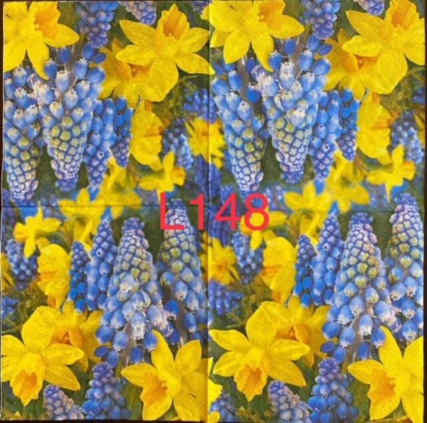 Bargain - Flowers (L148) - Daffodils and Hyacinths