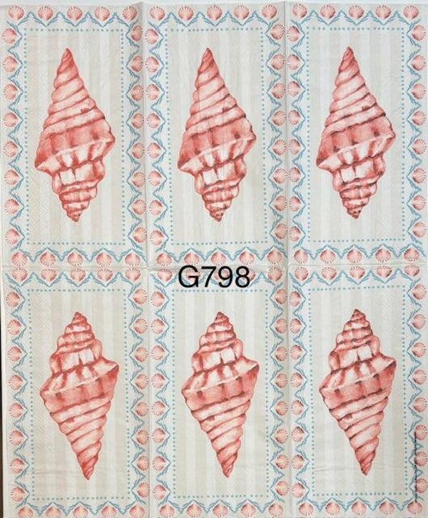 Beach (G798) - Large Shell with a Small Shell Border
