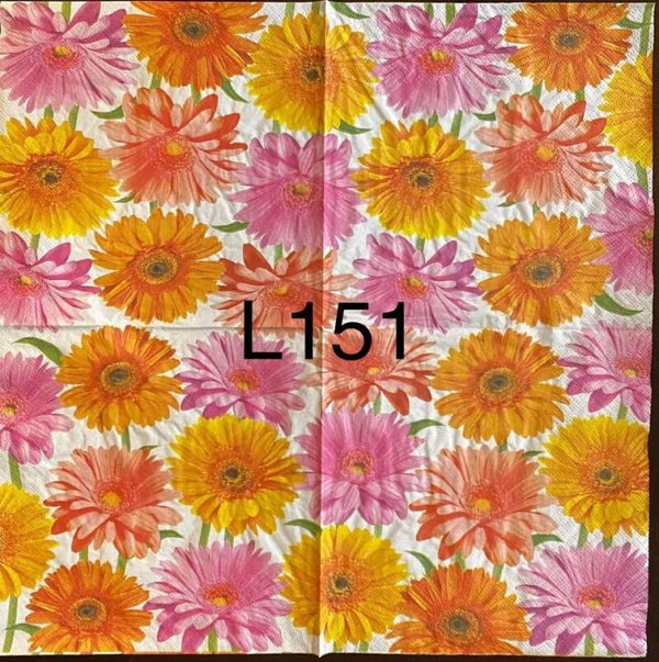 Bargain - Flowers (L151) - Gerbers