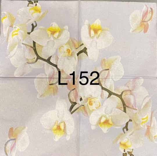 Bargain - Flowers (L152) - White Orchids