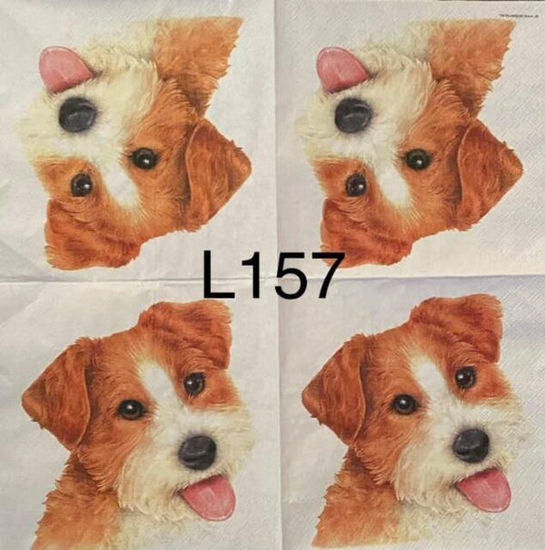 Dogs (L157) - Dog