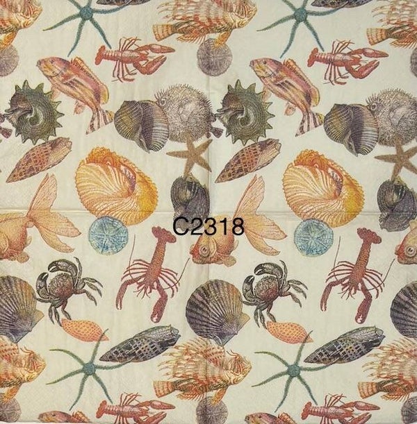 Beach (C2318) - Lobsters, Starfish, Crabs, and Shells