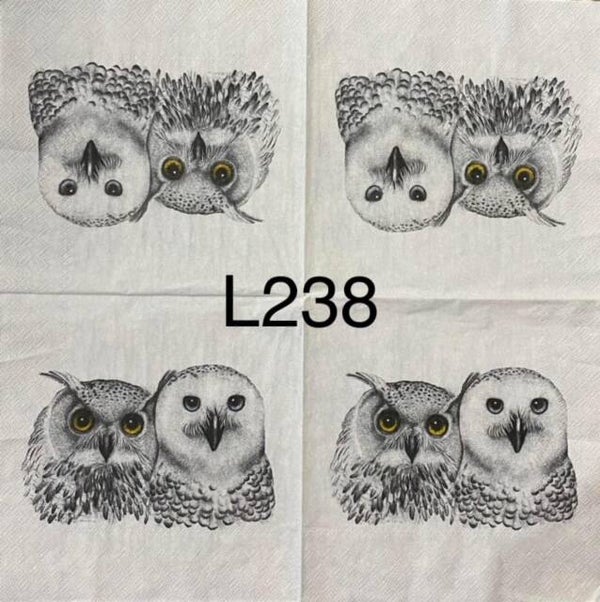 Birds (L235) - Two Owls