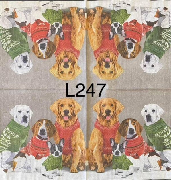 Dogs (L247) - Dogs Wearing Sweaters